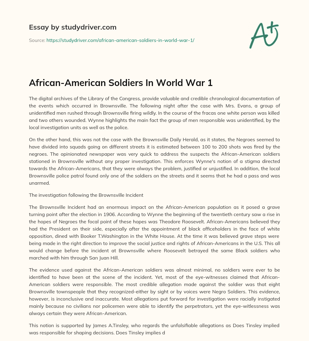 African-American Soldiers in World War 1 essay