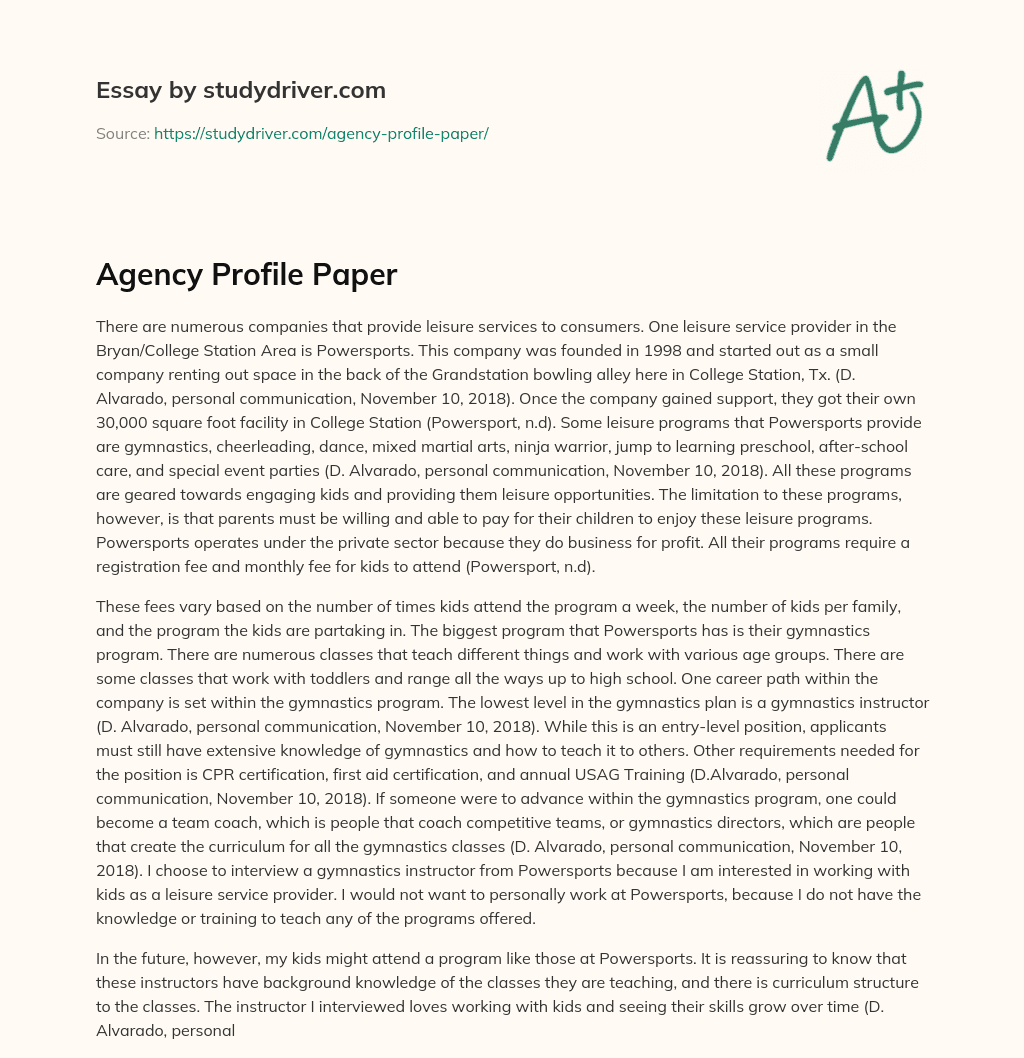 Agency Profile Paper essay
