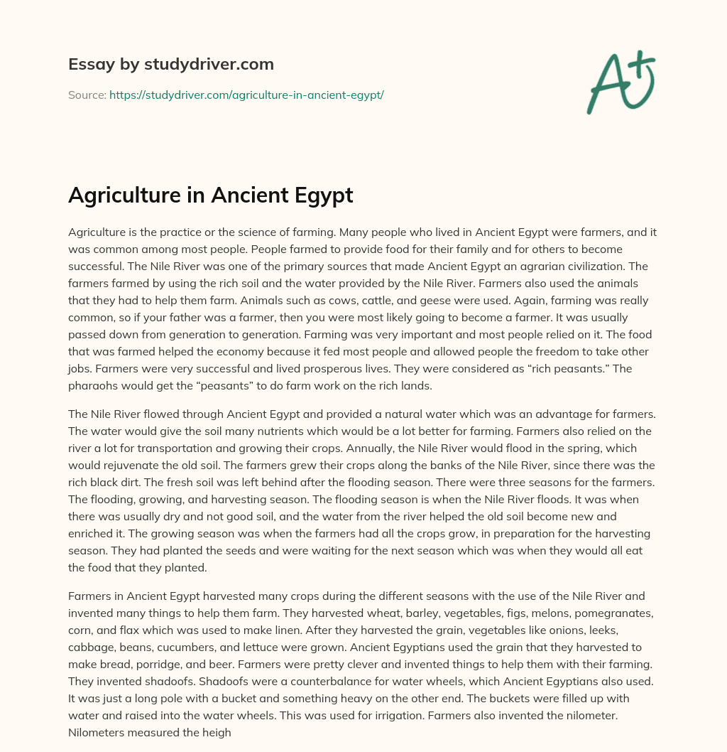 Agriculture in Ancient Egypt essay