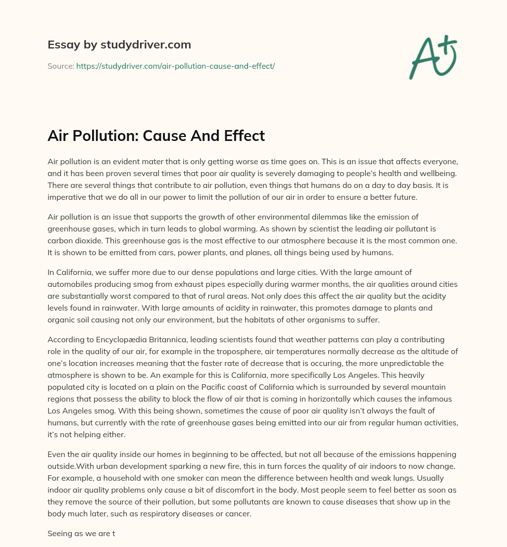 Air Pollution: Cause and Effect essay