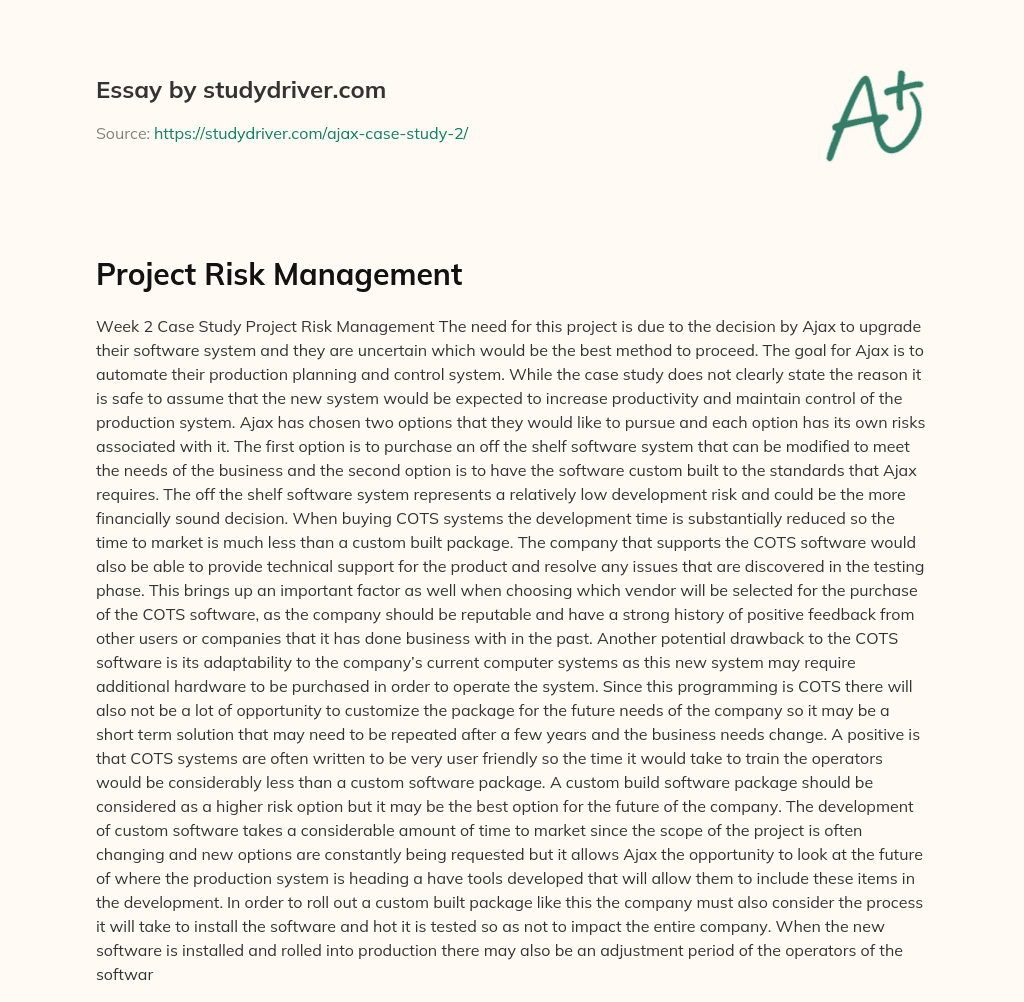 Project Risk Management essay