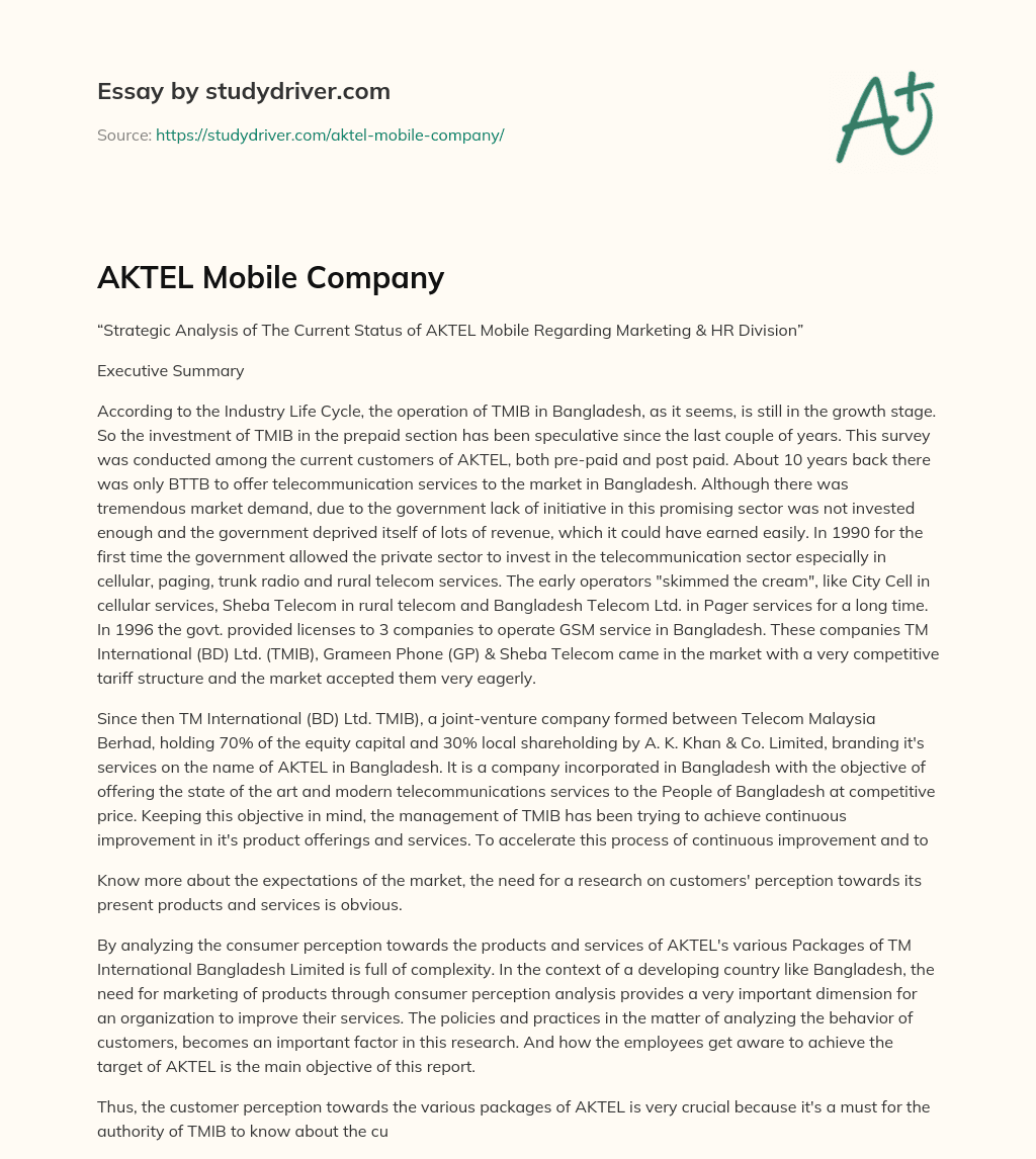 AKTEL Mobile Company essay