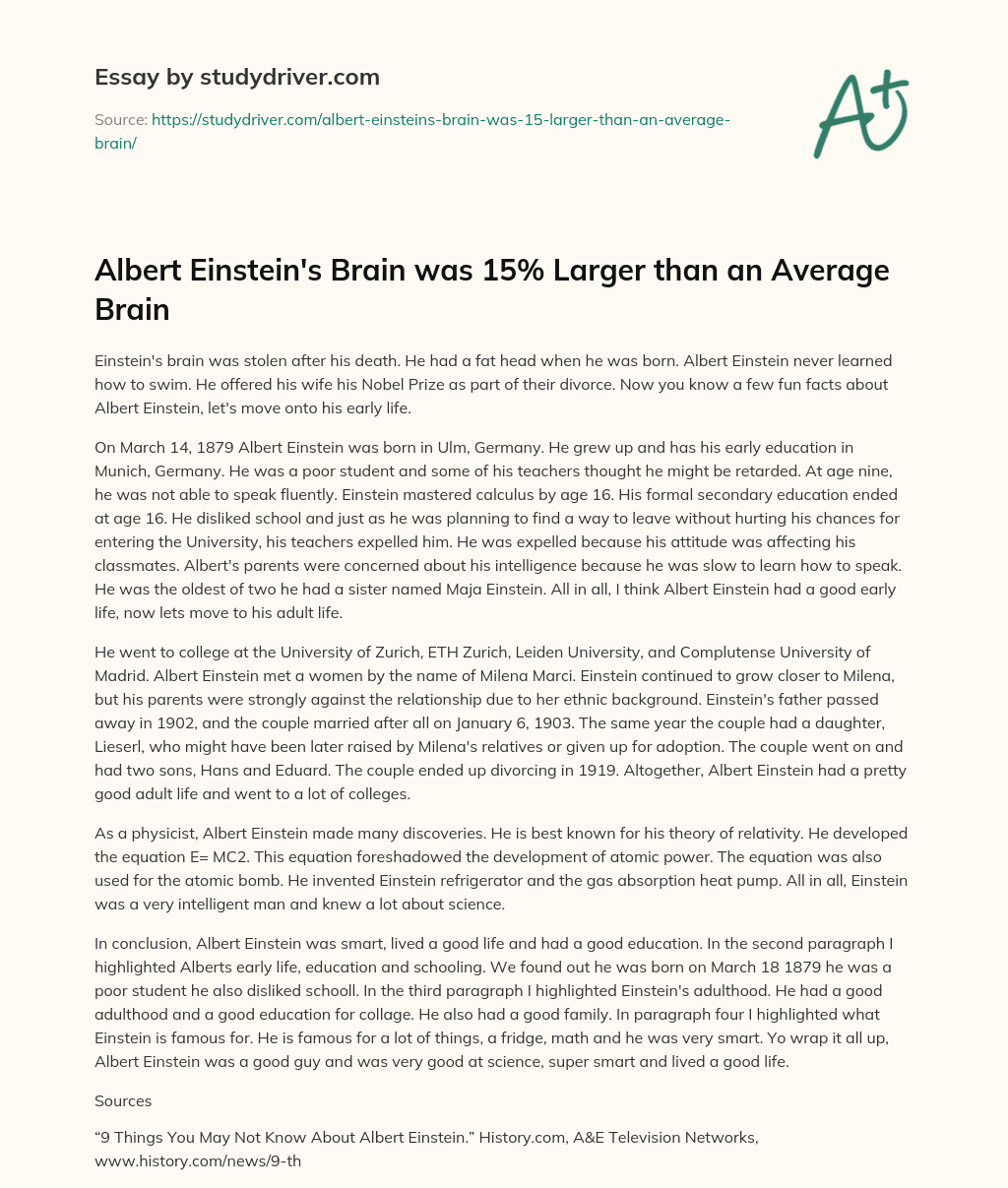Albert Einstein’s Brain was 15% Larger than an Average Brain essay