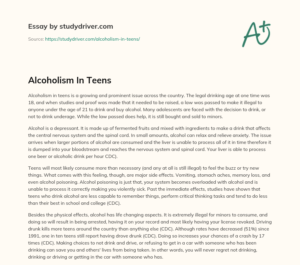 Alcoholism in Teens essay