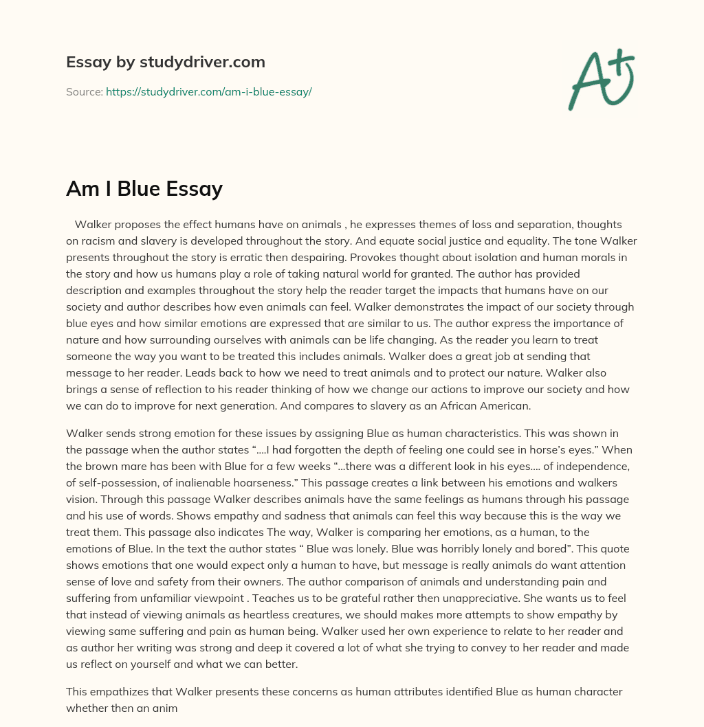 Am i Blue Essay essay