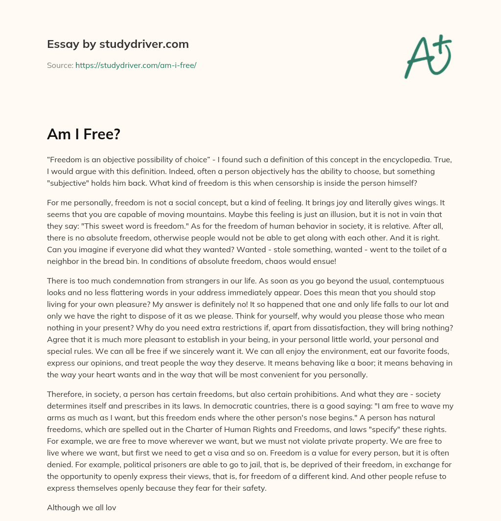 Am i Free? essay