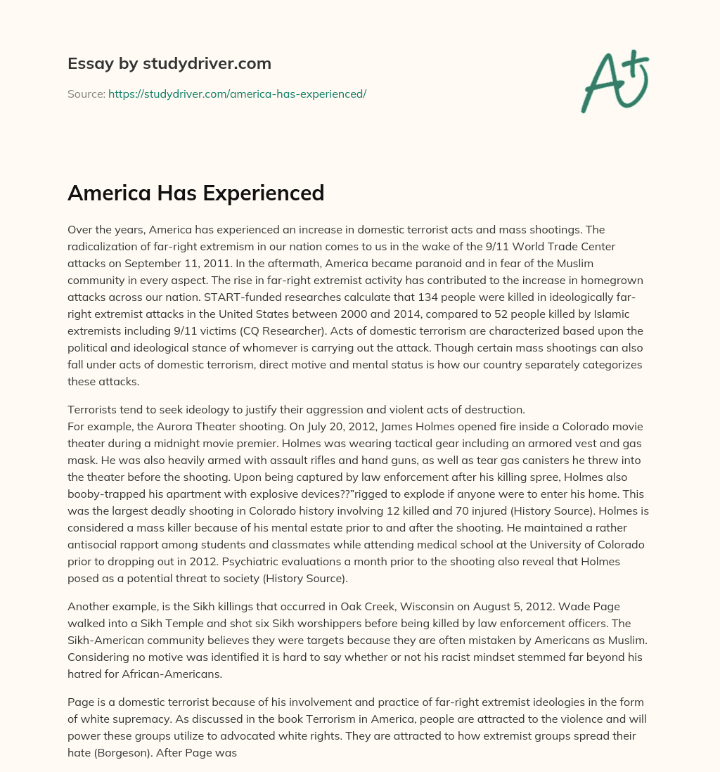 America has Experienced essay