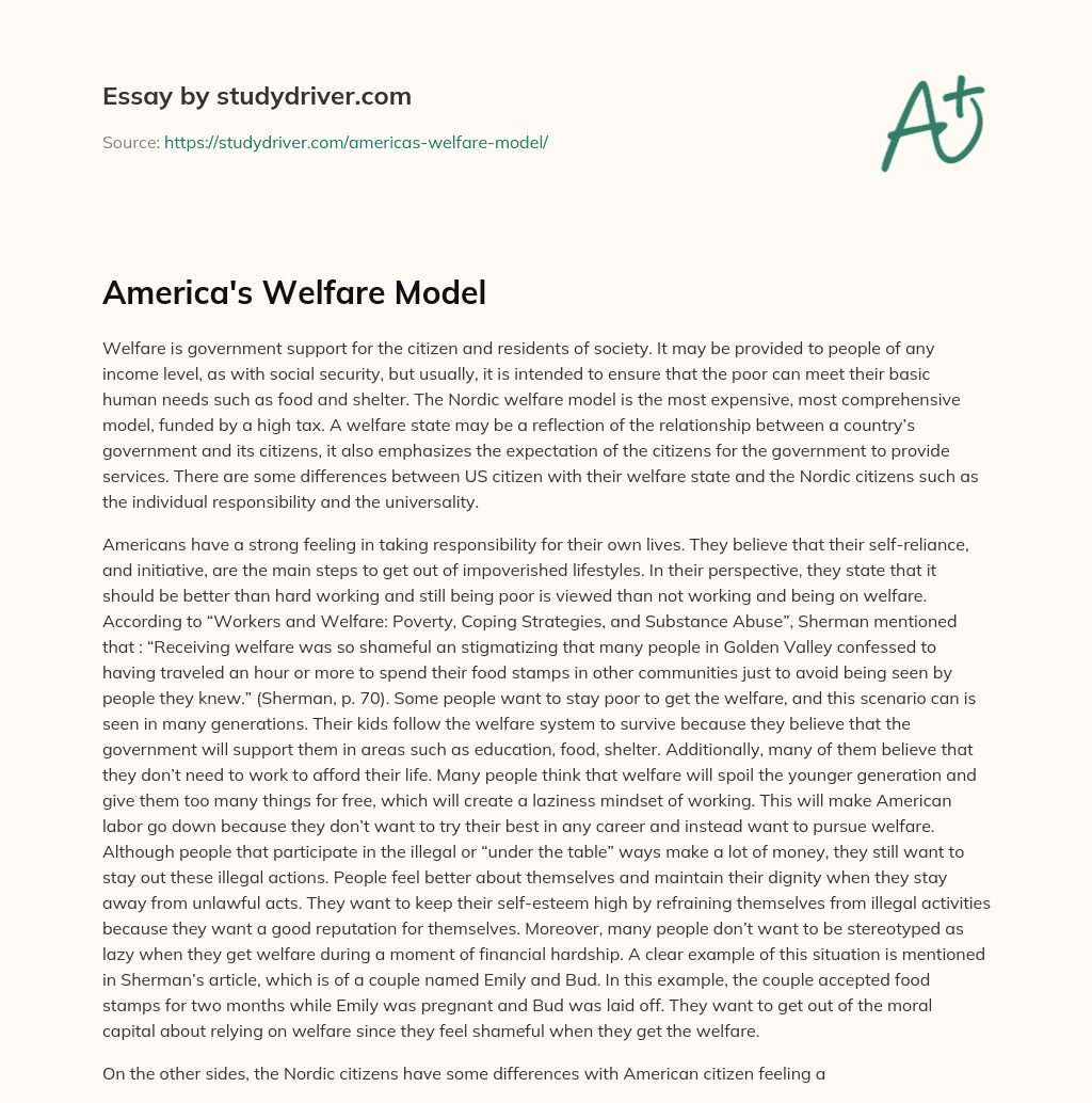 America’s Welfare Model essay