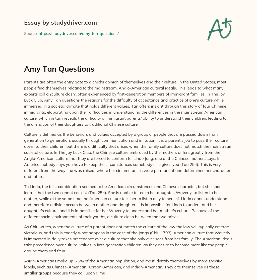 Amy Tan Questions essay