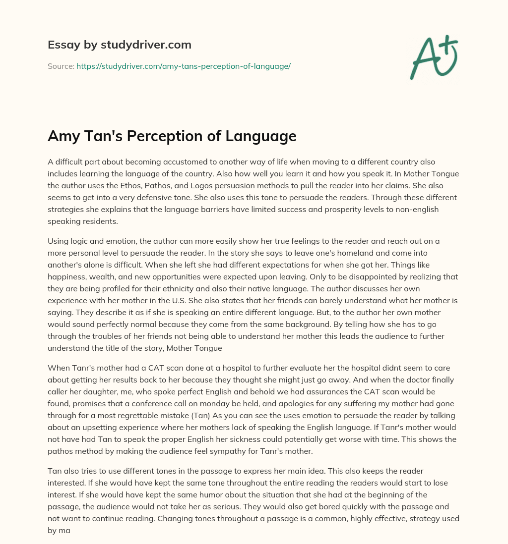 Amy Tan’s Perception of Language essay