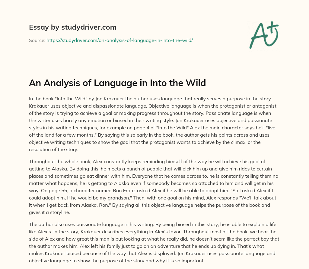 An Analysis of Language in into the Wild essay