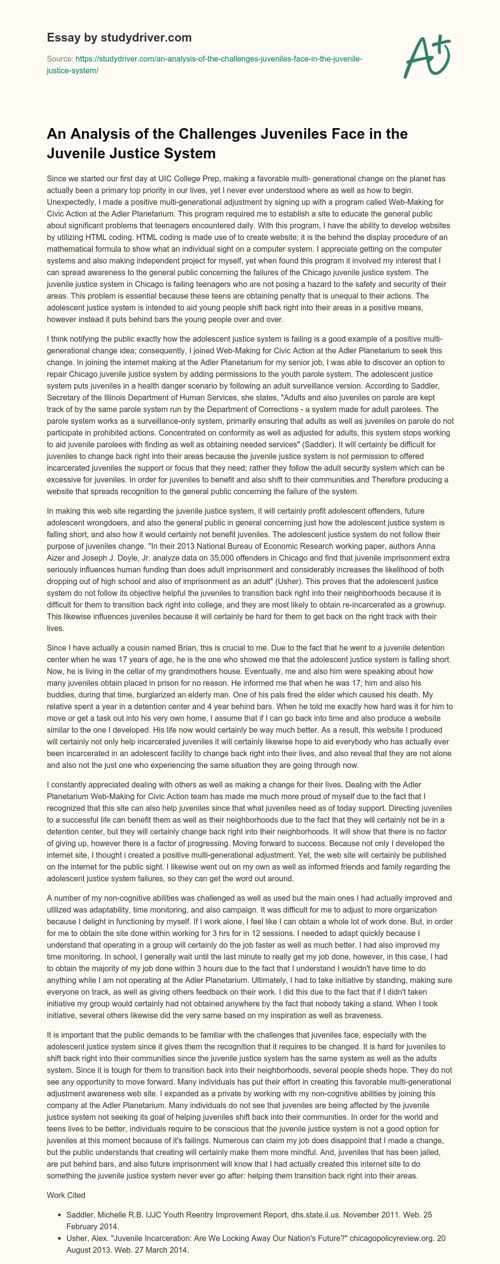 An Analysis of the Challenges Juveniles Face in the Juvenile Justice System essay