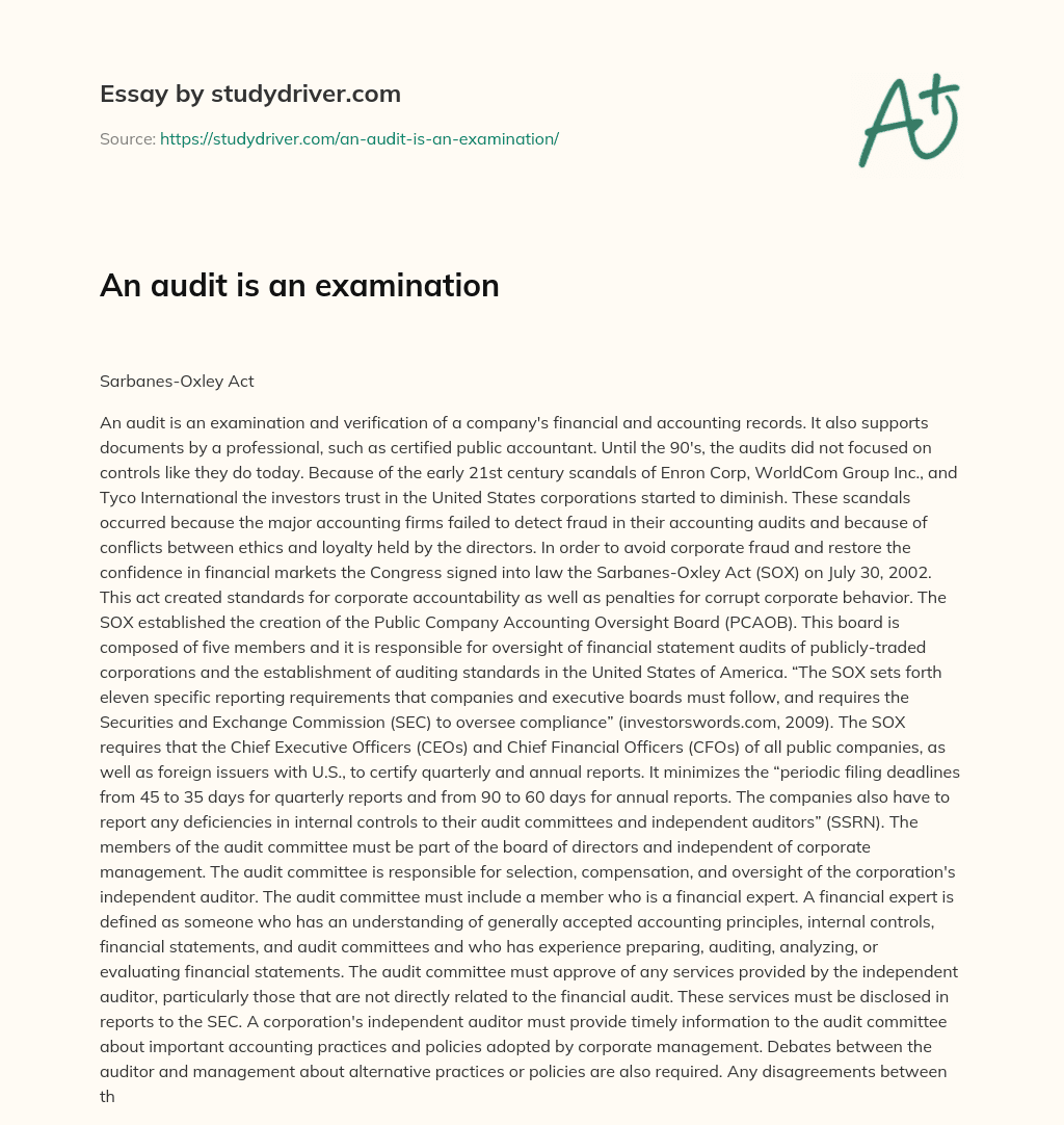 An Audit is an Examination essay