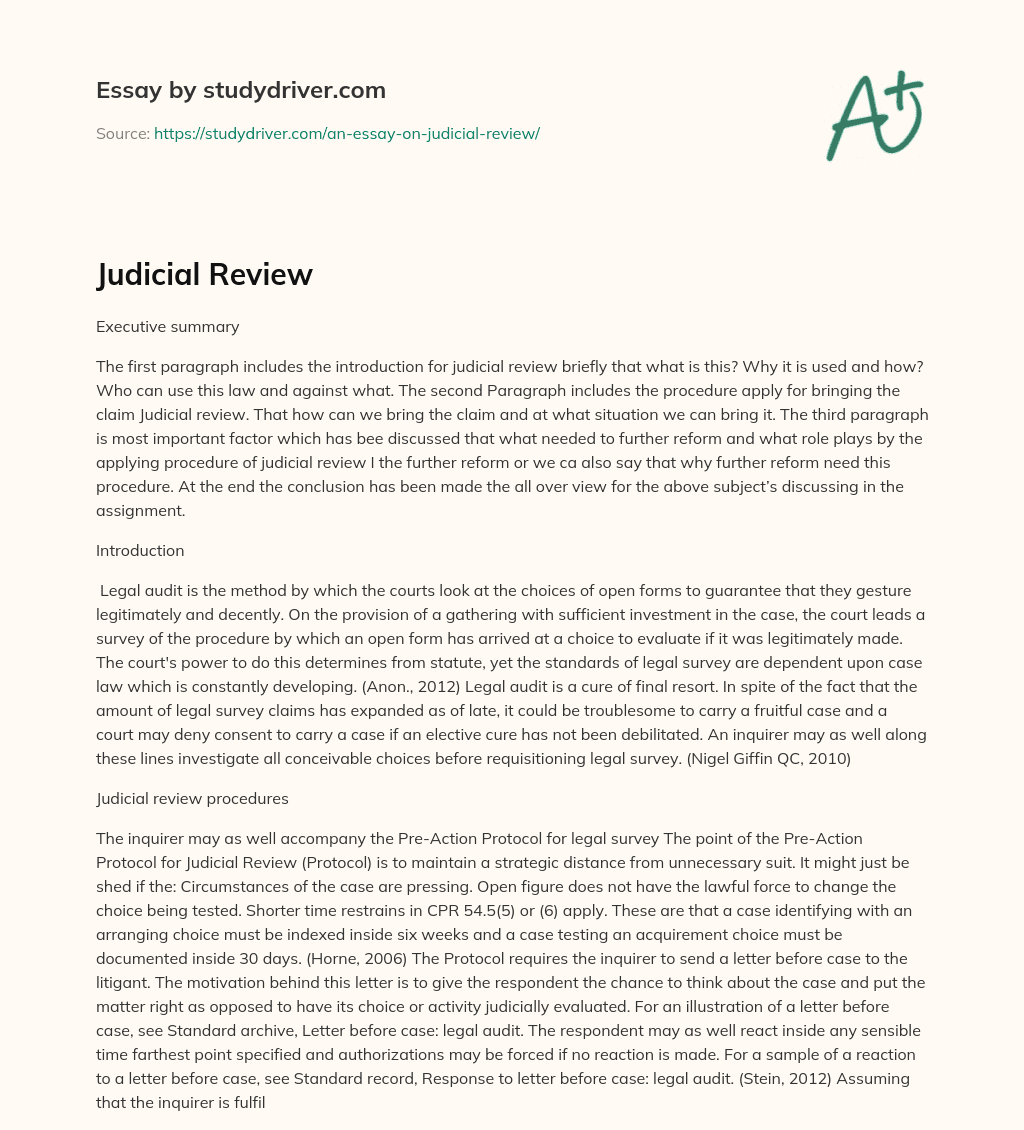 Judicial Review essay