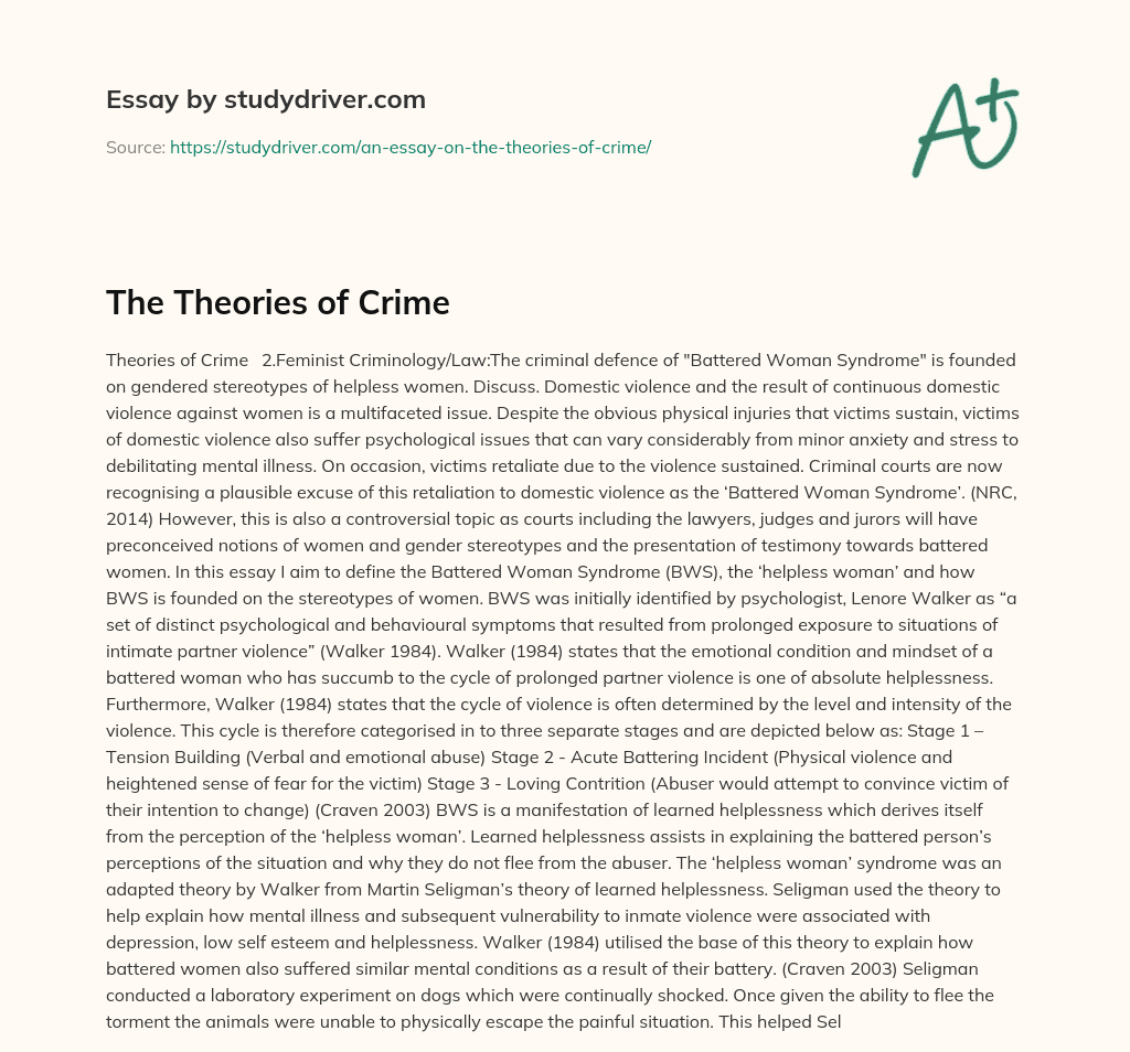 The Theories of Crime essay