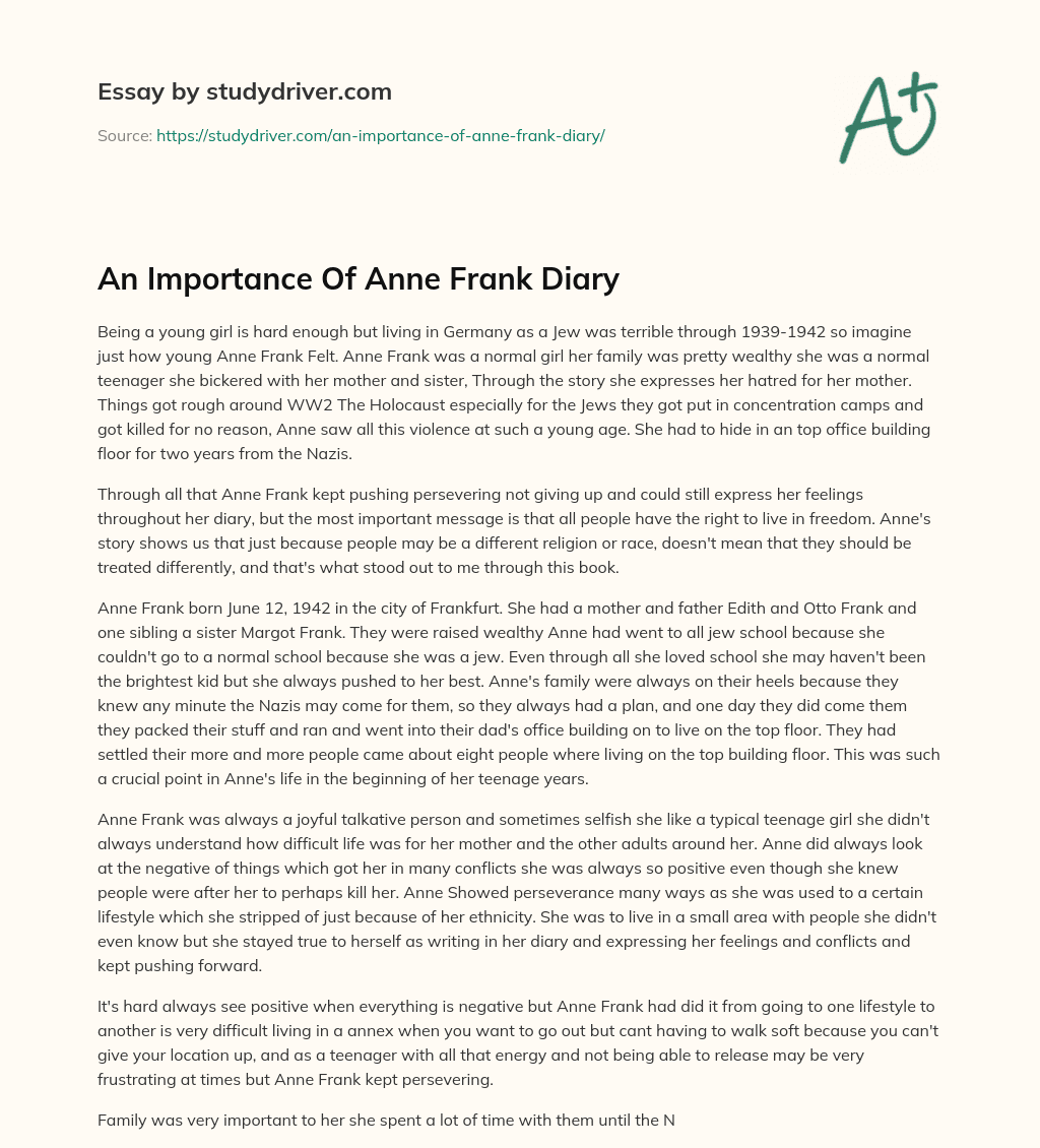 An Importance of Anne Frank Diary essay