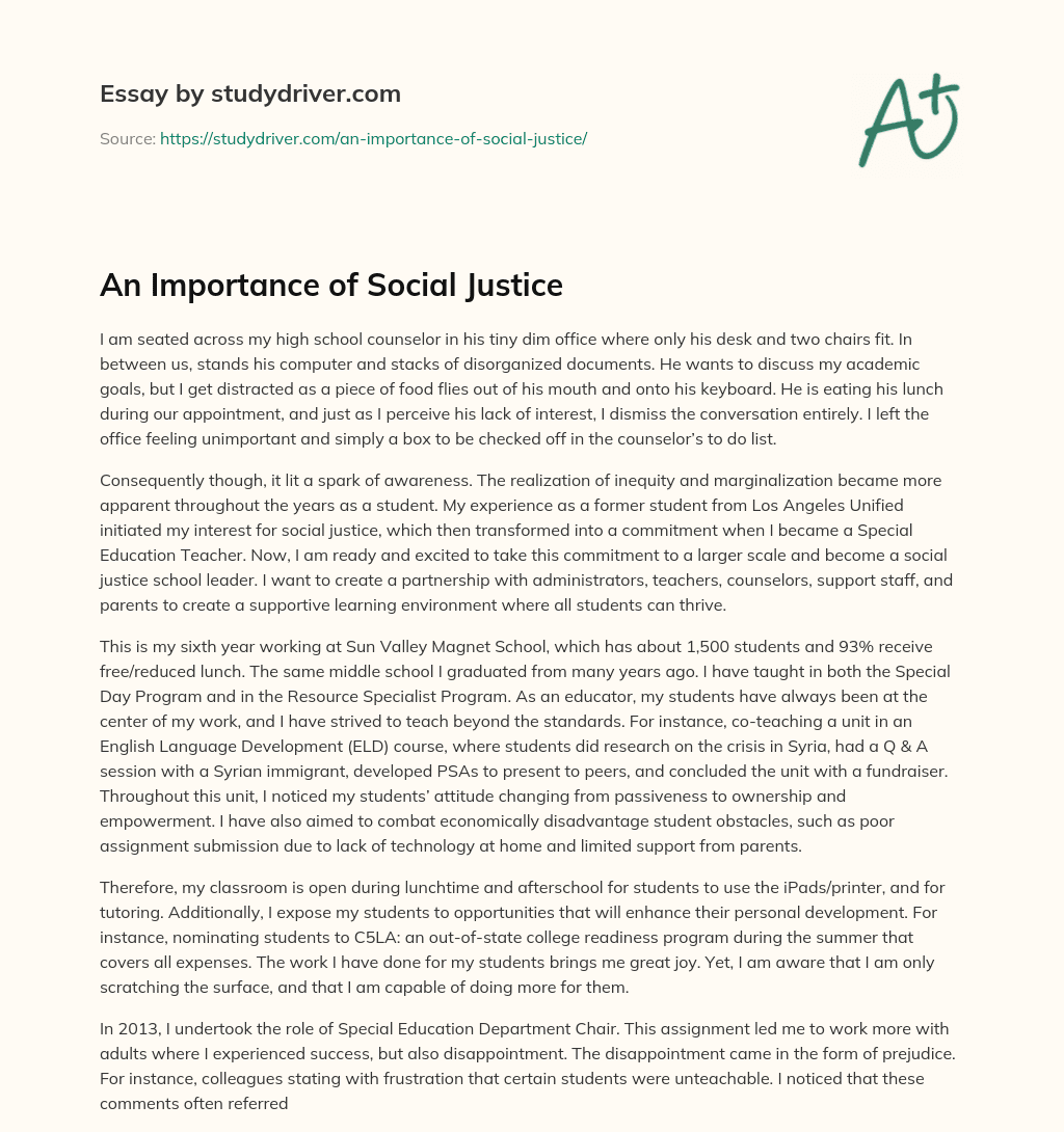 An Importance of Social Justice essay