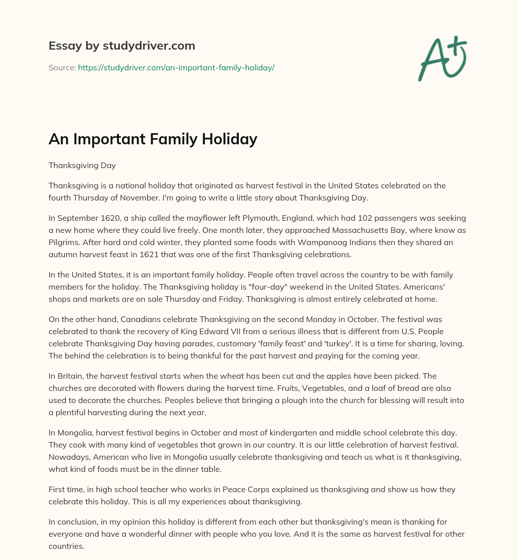 An Important Family Holiday essay