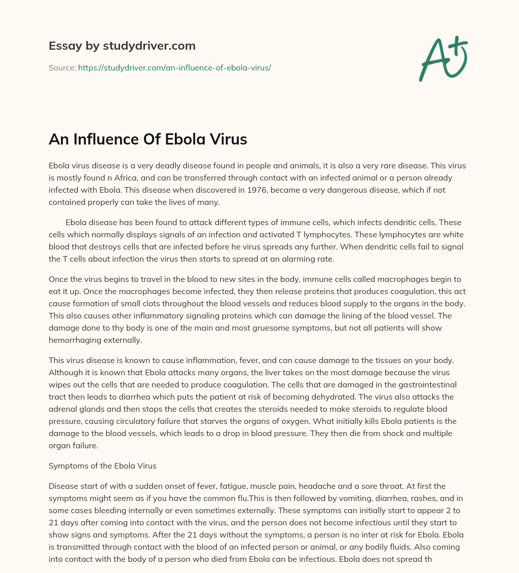 An Influence of Ebola Virus essay