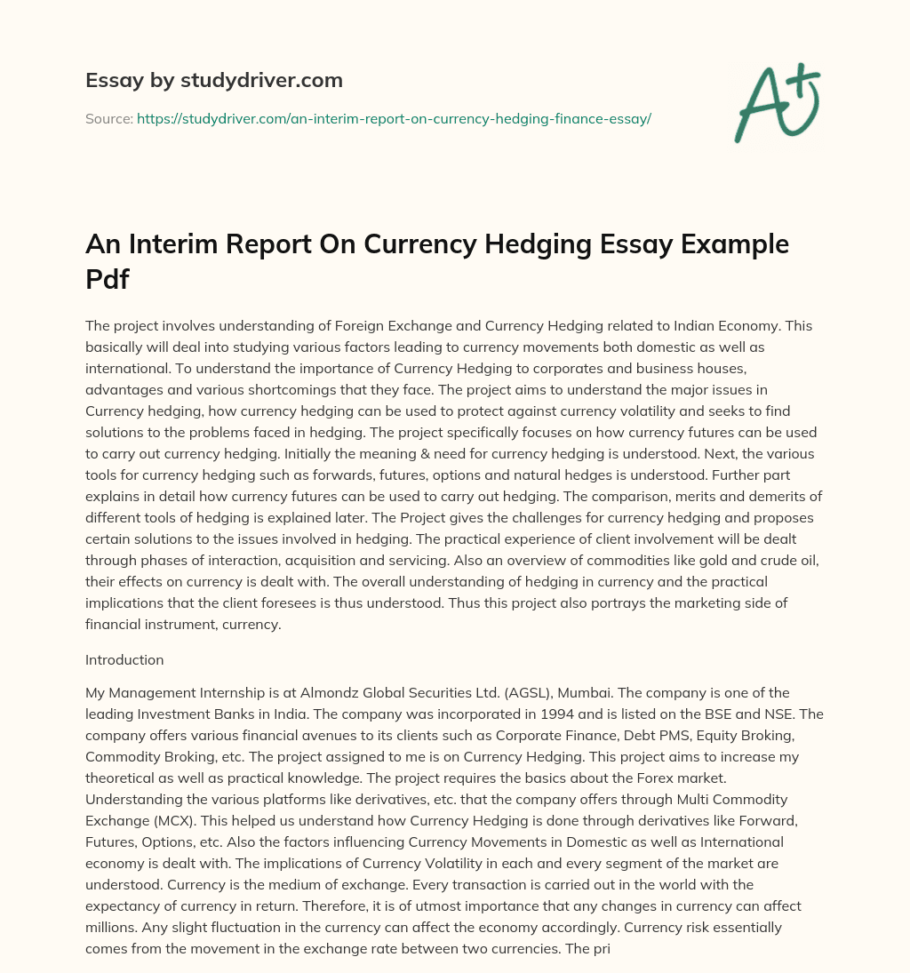 An Interim Report on Currency Hedging Essay Example Pdf essay
