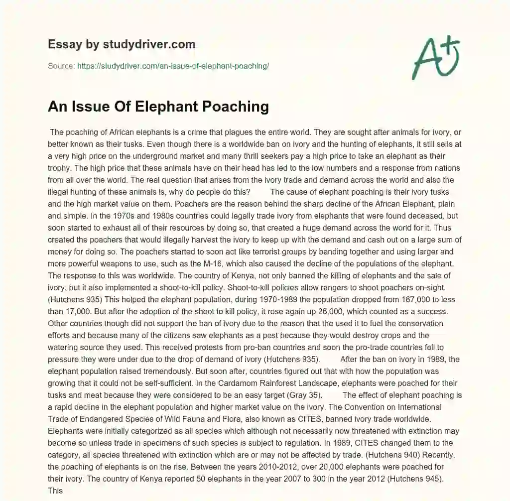 An Issue of Elephant Poaching essay