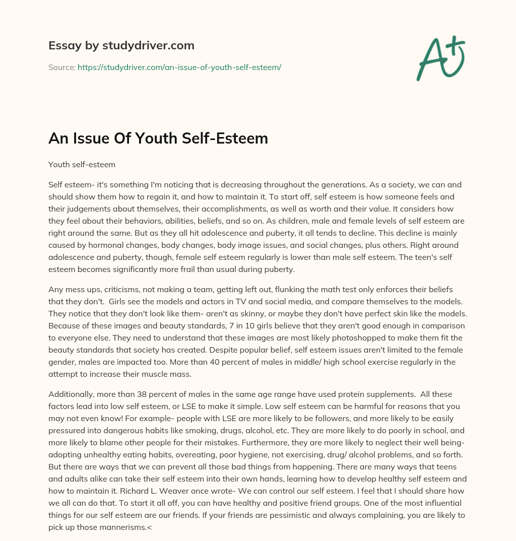 An Issue of Youth Self-Esteem essay