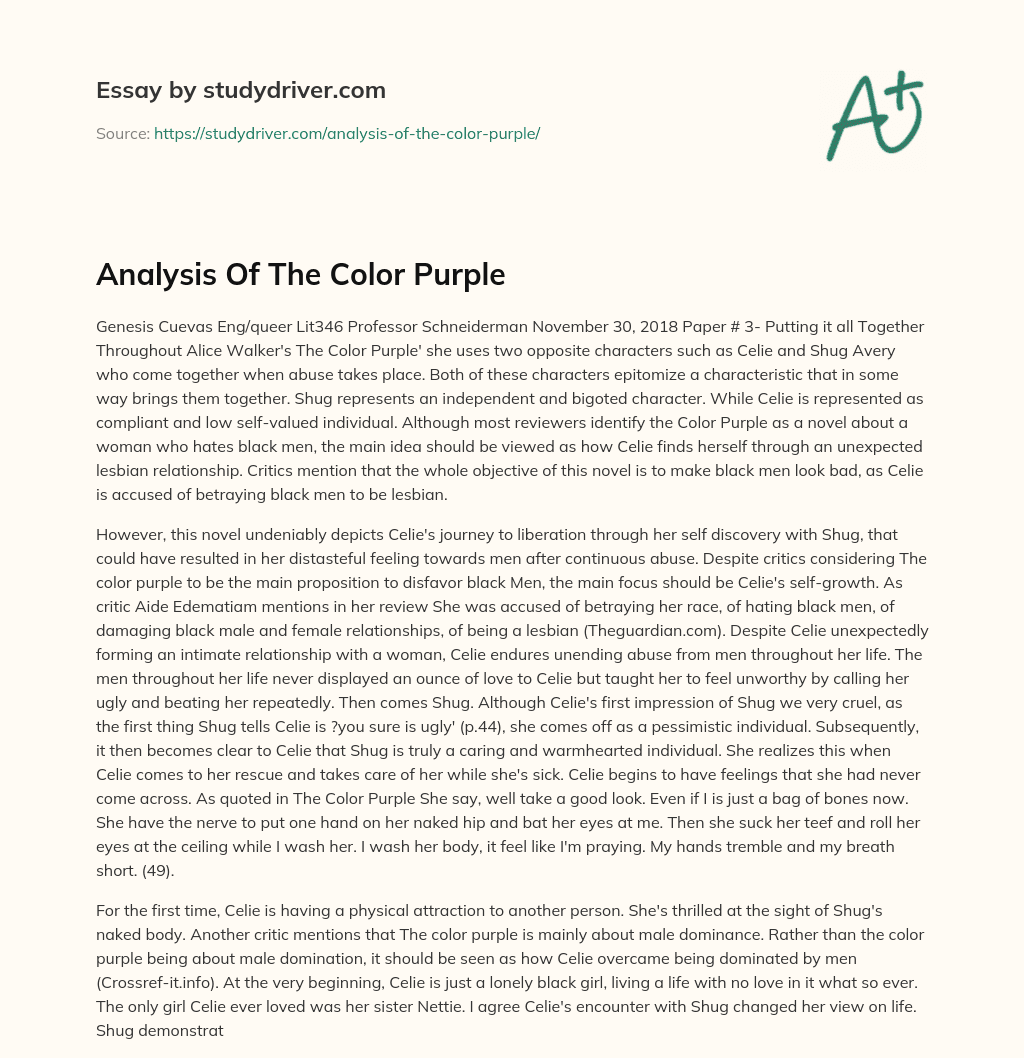 Analysis of the Color Purple essay