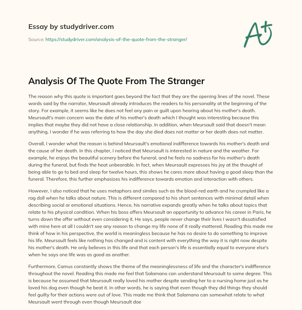 Analysis of the Quote from the Stranger essay