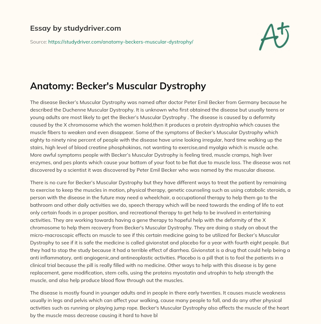 Anatomy: Becker’s Muscular Dystrophy essay