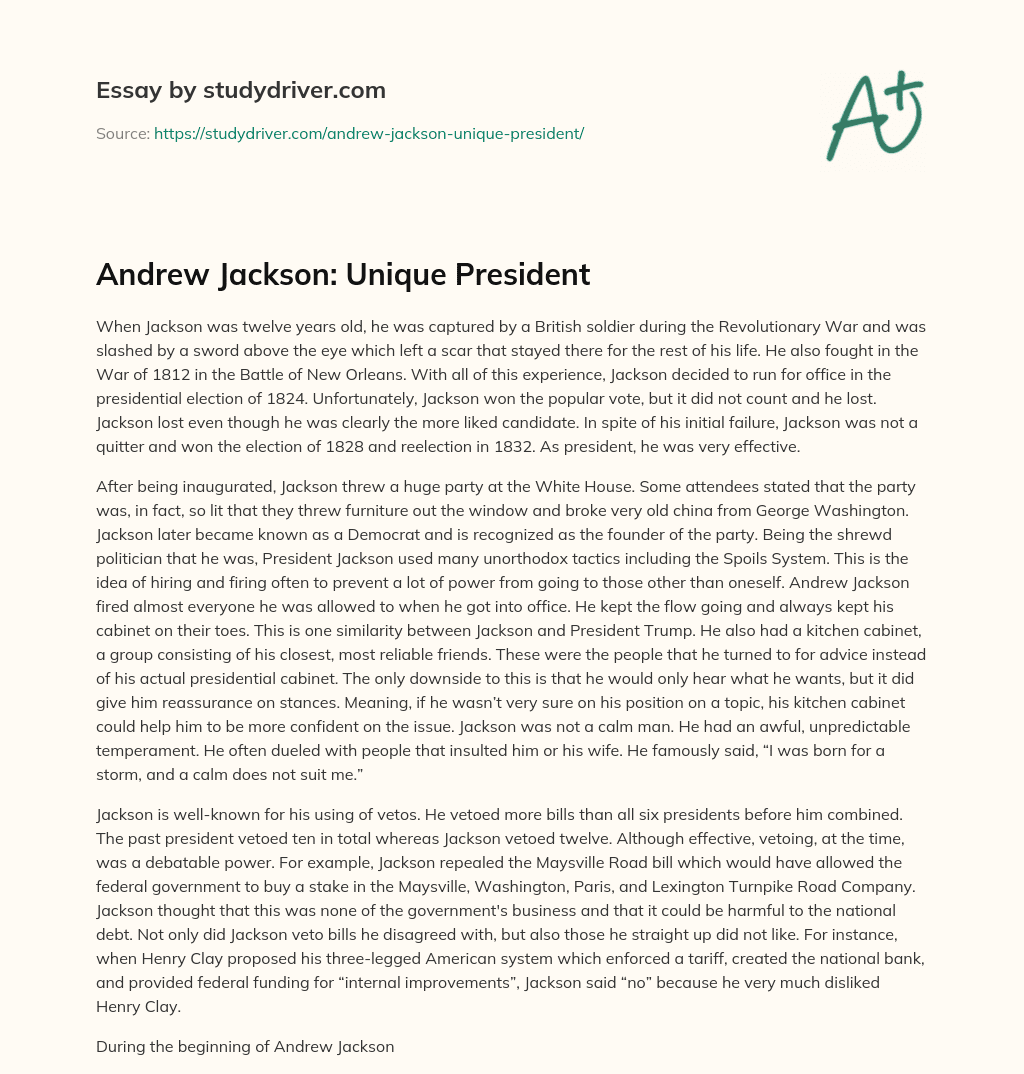 Andrew Jackson: Unique President essay