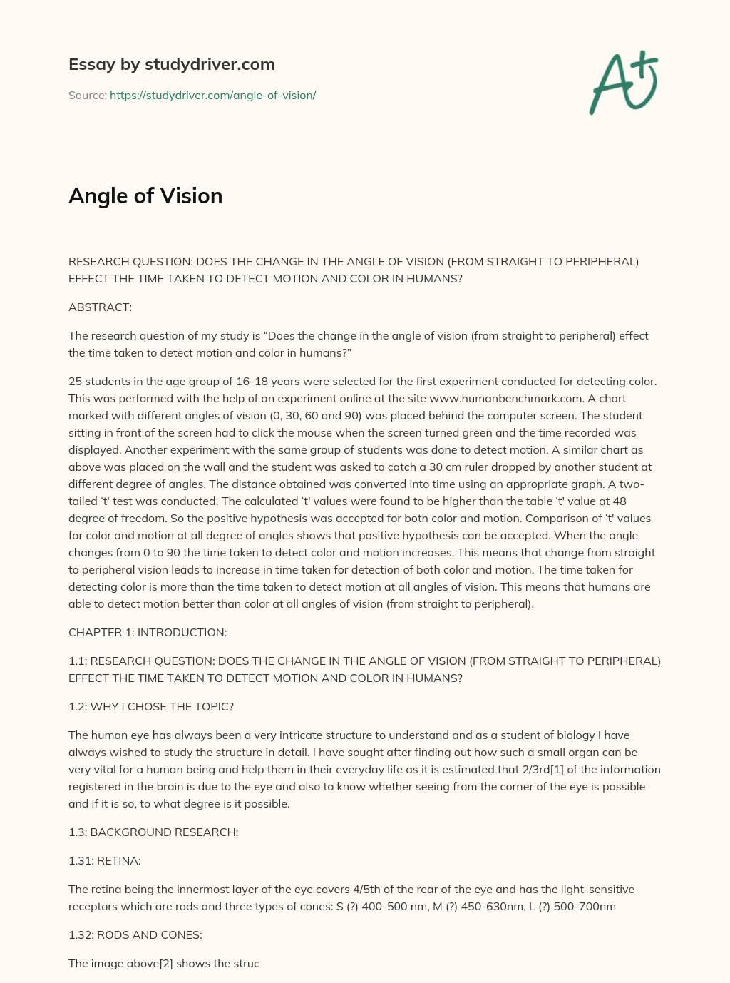 Angle of Vision essay