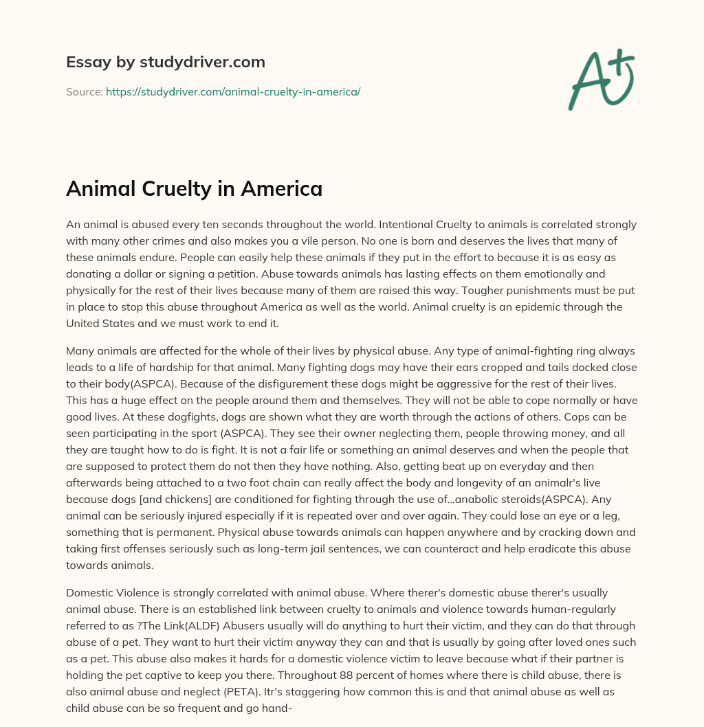 Animal Cruelty in America essay
