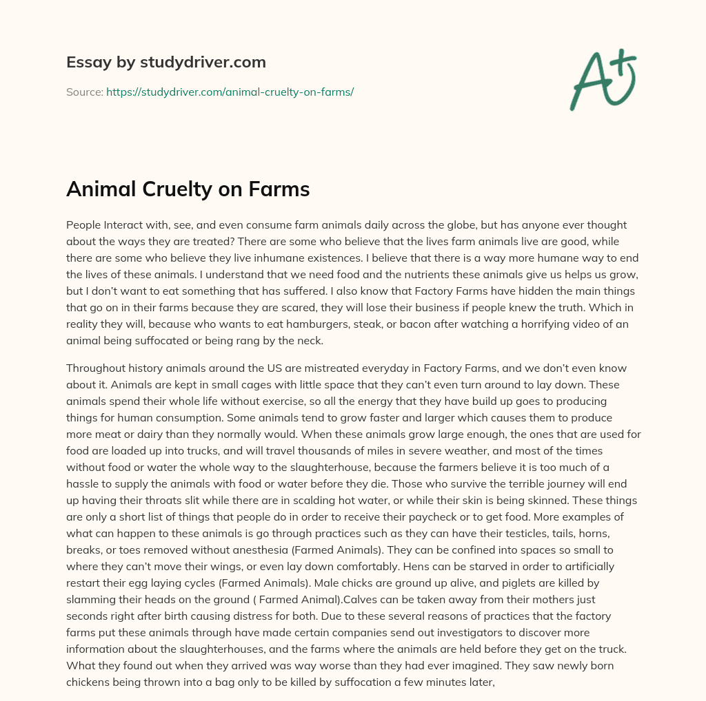 Animal Cruelty on Farms essay