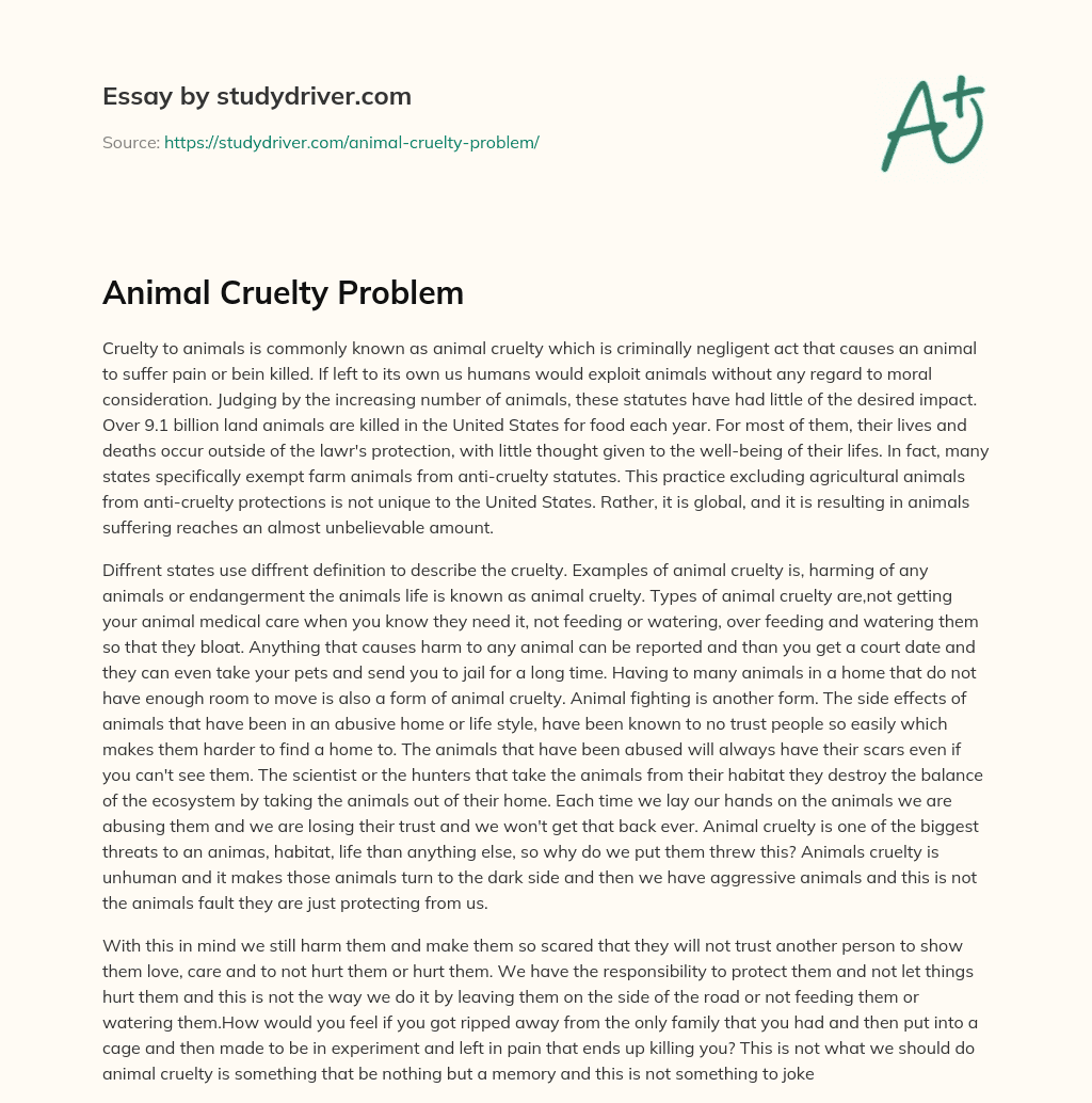Animal Cruelty Problem essay