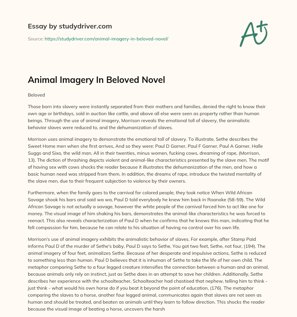 Animal Imagery in Beloved Novel essay