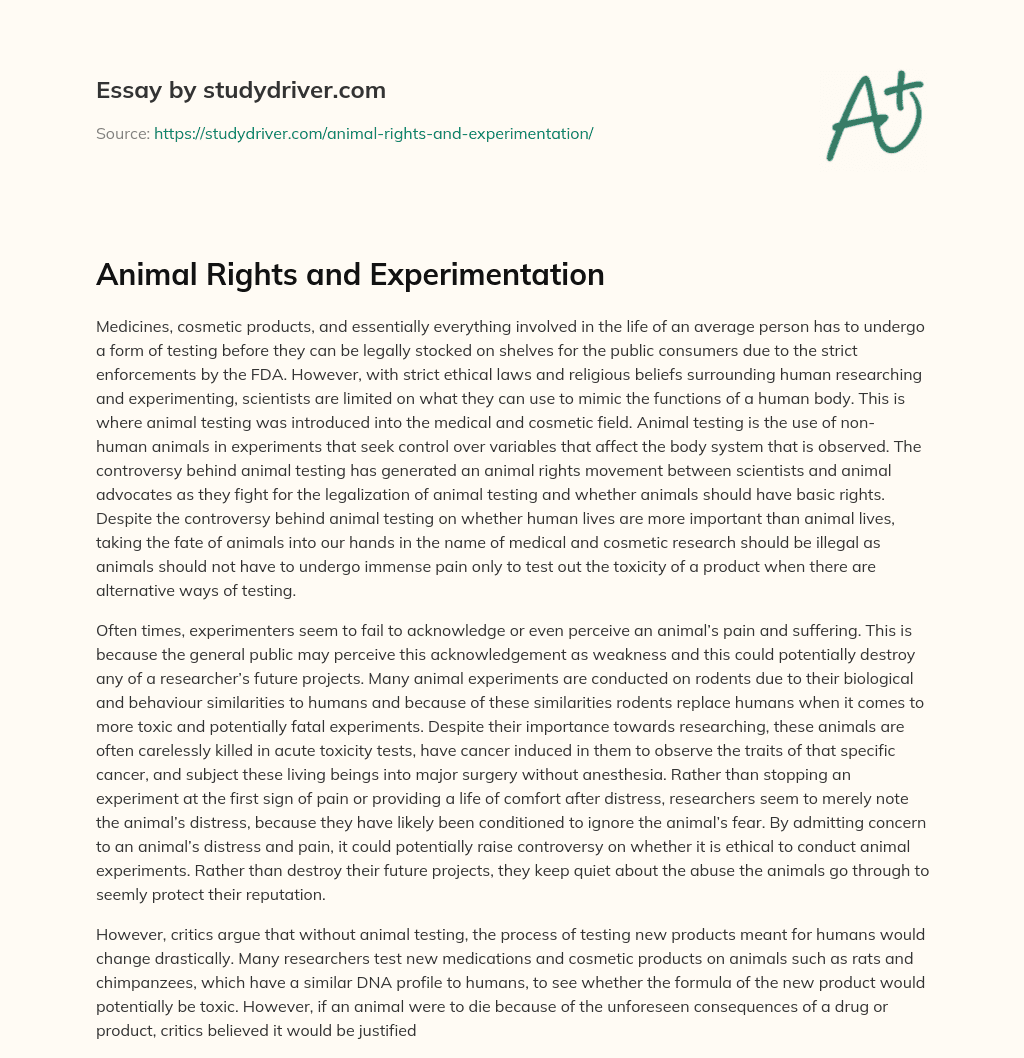 Animal Rights and Experimentation - Free Essay Example - 1221 Words |  