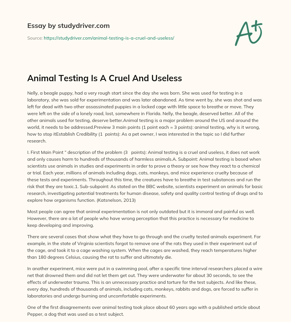 Animal Testing is a Cruel and Useless essay