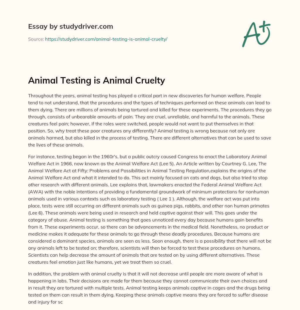 Animal Testing is Animal Cruelty essay