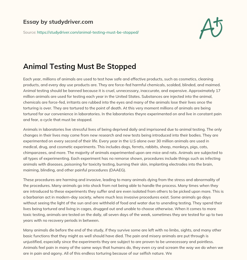 Animal Testing Must be Stopped essay