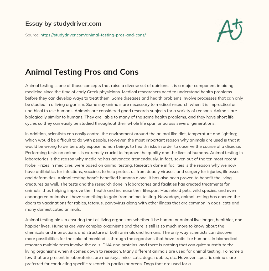 Animal Testing Pros and Cons - Free Essay Example - 1056 Words |  