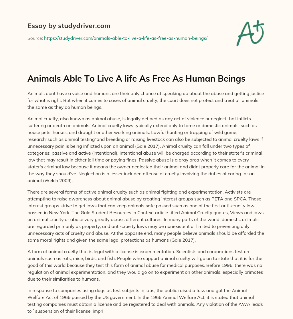 Animals Able to Live a Life as Free as Human Beings essay