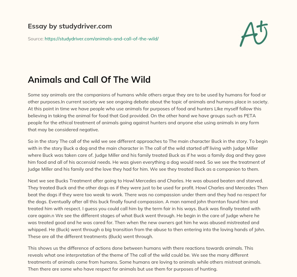 Animals and Call of the Wild essay