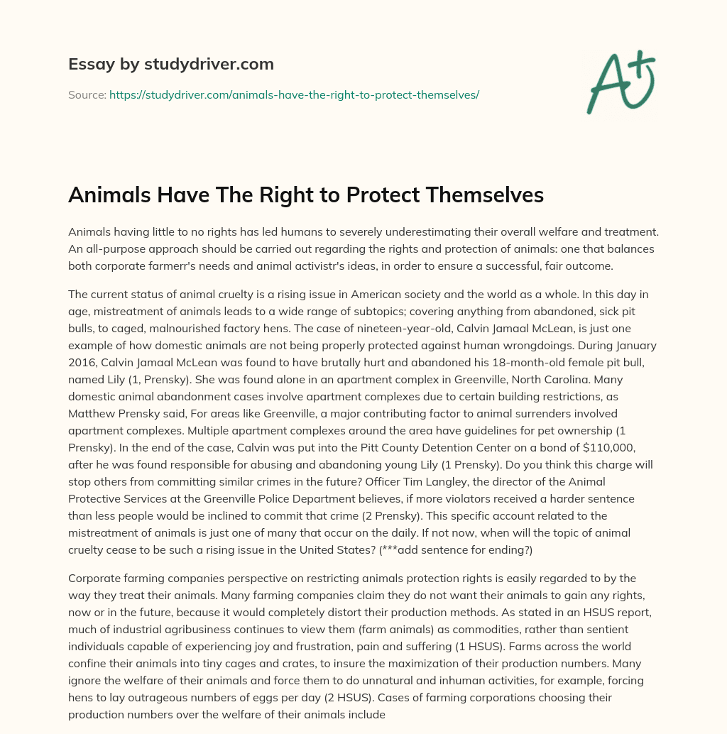 Animals have the Right to Protect themselves essay