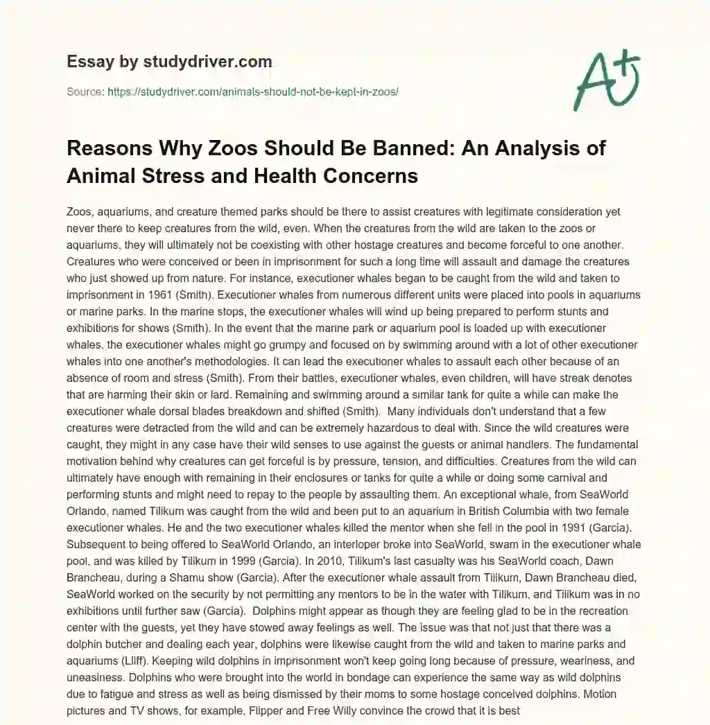Reasons why Zoos should be Banned: an Analysis of Animal Stress and Health Concerns essay