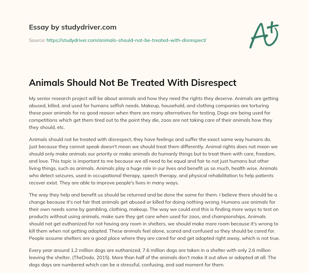 Animals should not be Treated with Disrespect essay
