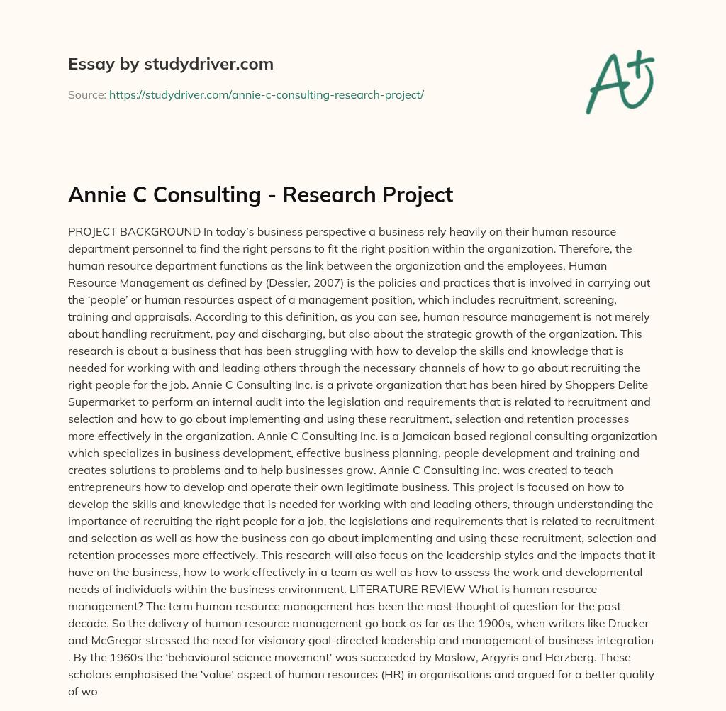 Annie C Consulting – Research Project essay