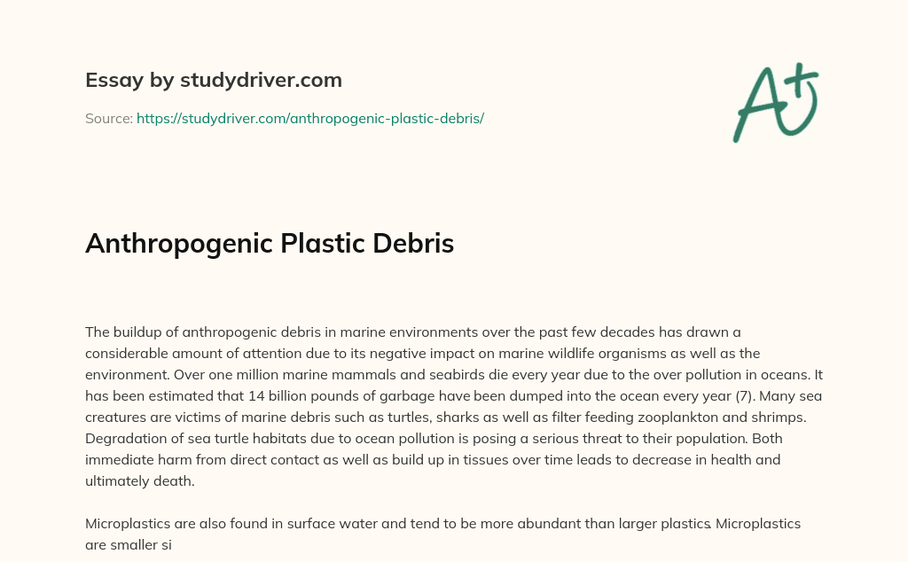 Anthropogenic Plastic Debris essay