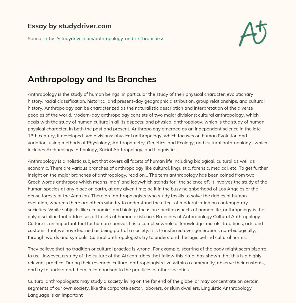 Anthropology and its Branches essay