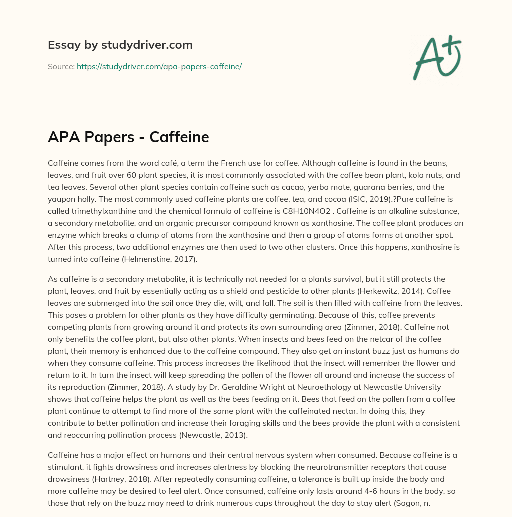 APA Papers – Caffeine essay