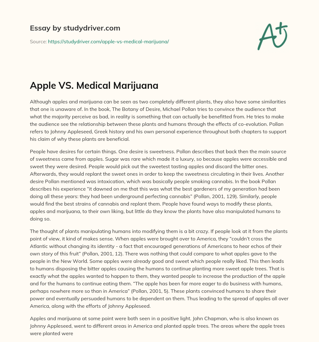 Apple VS. Medical Marijuana essay
